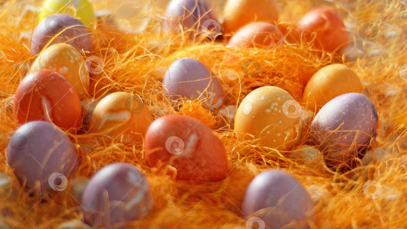 Скачать Разноцветные расписные пасхальные яйца в декоративной сетке. фотосток Ozero