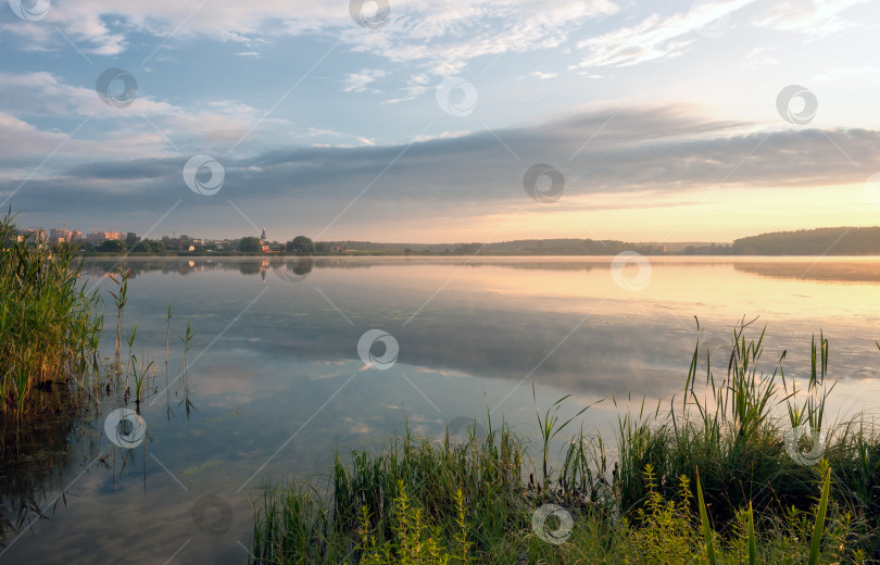 Скачать Июльское утро на  озере фотосток Ozero