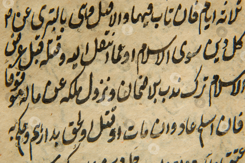 Скачать древняя арабская книга фотосток Ozero