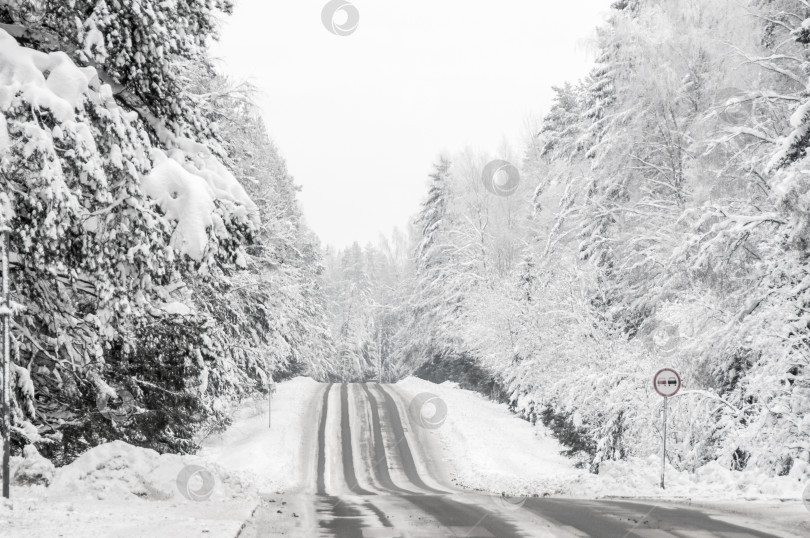 Скачать Дорога в зимнем лесу фотосток Ozero