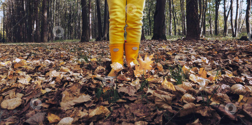Скачать Ребенок в желтых штанах и резиновых сапогах стоит на сухих, опавших осенних листьях в лесопарке. Одежда для влажной и прохладной погоды фотосток Ozero