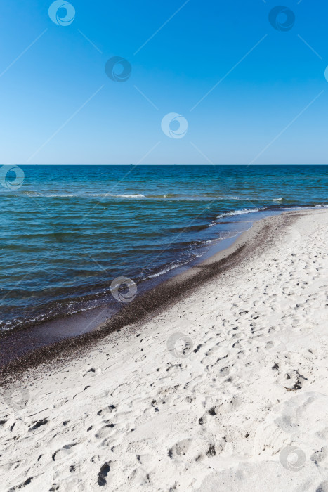 Скачать Песчаный пляж на Балтийском море, Балтийская коса фотосток Ozero