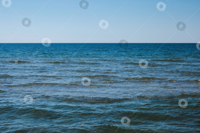 Скачать прозрачная вода Балтийского моря на заднем плане фотосток Ozero