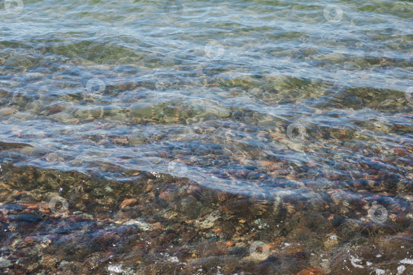 Скачать прозрачная вода Балтийского моря на заднем плане фотосток Ozero