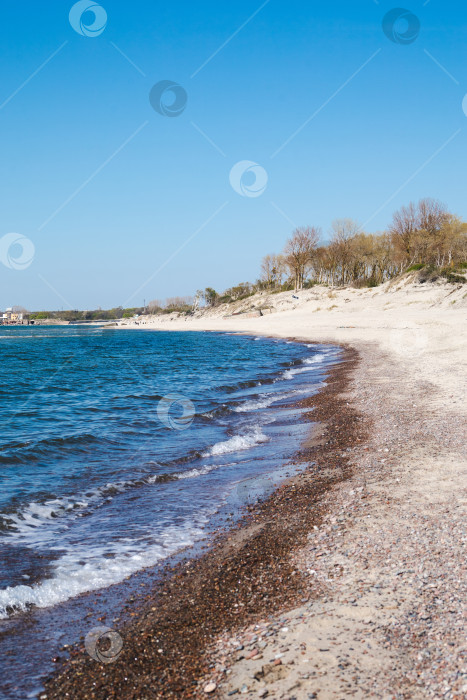 Скачать Песчаное побережье, Балтийское море, Балтийская коса фотосток Ozero