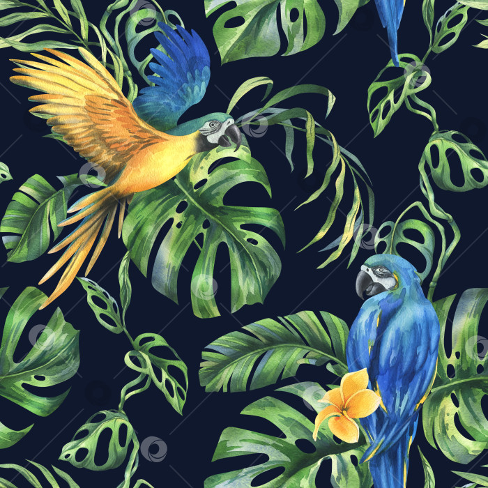 Скачать Листья тропической пальмы, монстеры и цветы плюмерии, гибискуса, яркие сочные с сине-желтым попугаем ара. Ботаническая иллюстрация, нарисованная акварелью от руки. Бесшовный узор на темном фоне. фотосток Ozero