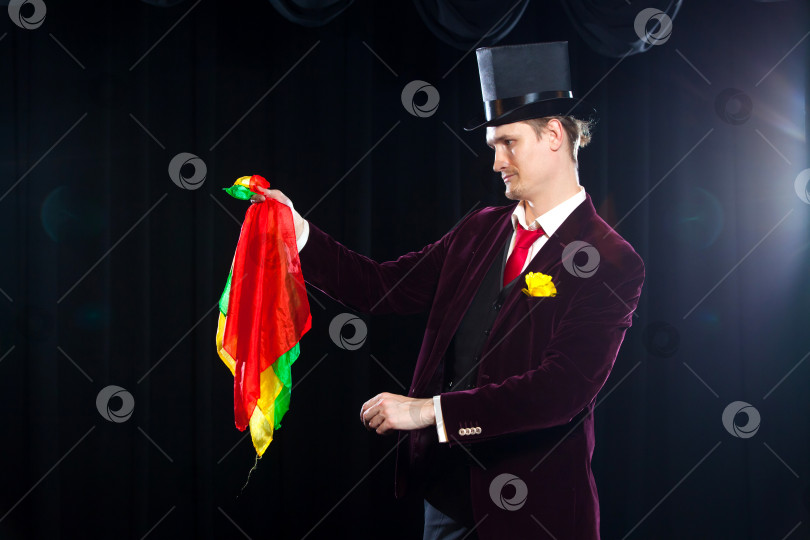 Скачать Magician, Juggler man, Funny person, Black magic, Illusion focus with colored cloth with cloths фотосток Ozero