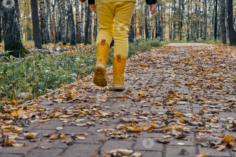 Скачать Ребенок в желтых штанишках и резиновых сапогах прогуливается по мощеной дороге в лесопарке. Прогулка на природе, в осенний период времени. Избирательный избирательный фокус фотосток Ozero
