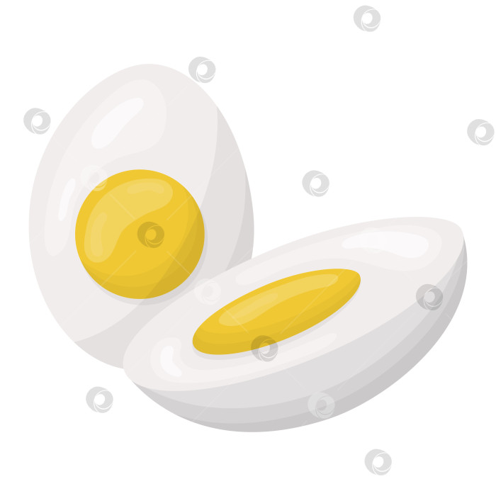 Скачать Половинка вареного яйца. Векторная иллюстрация на белом фоне фотосток Ozero