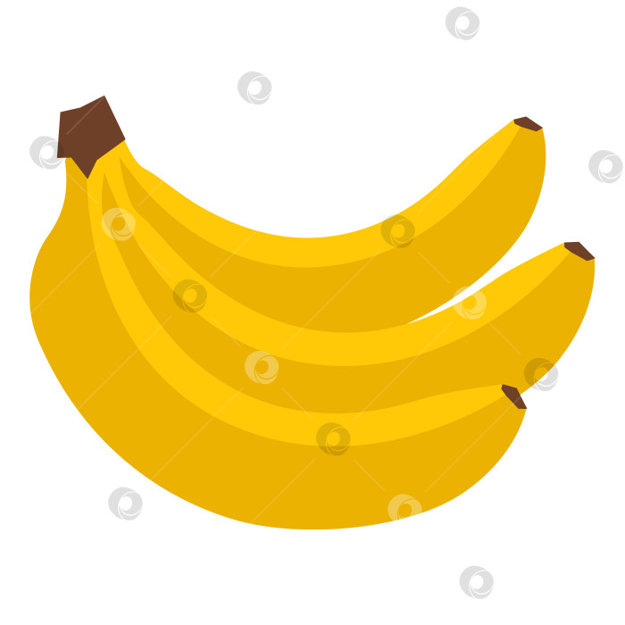 Скачать Бананы. Вектор, выделенный на белом фоне фотосток Ozero