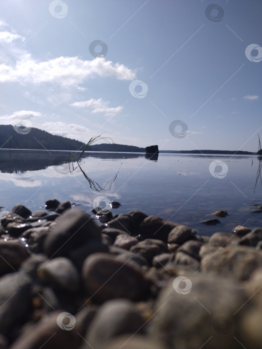 Скачать Побережье Ладожского озера в Карелии фотосток Ozero