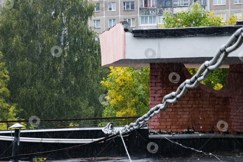 Скачать Вид с крыши на деревья, дождливая погода фотосток Ozero