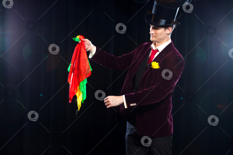 Скачать Magician, Juggler man, Funny person, Black magic, Illusion focus with colored cloth with cloths фотосток Ozero