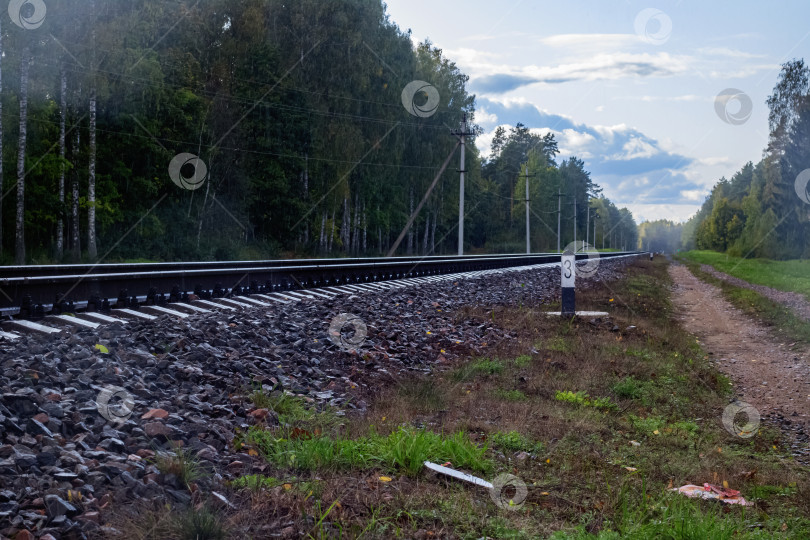 Скачать Железнодорожные пути уходят вдаль в лес фотосток Ozero