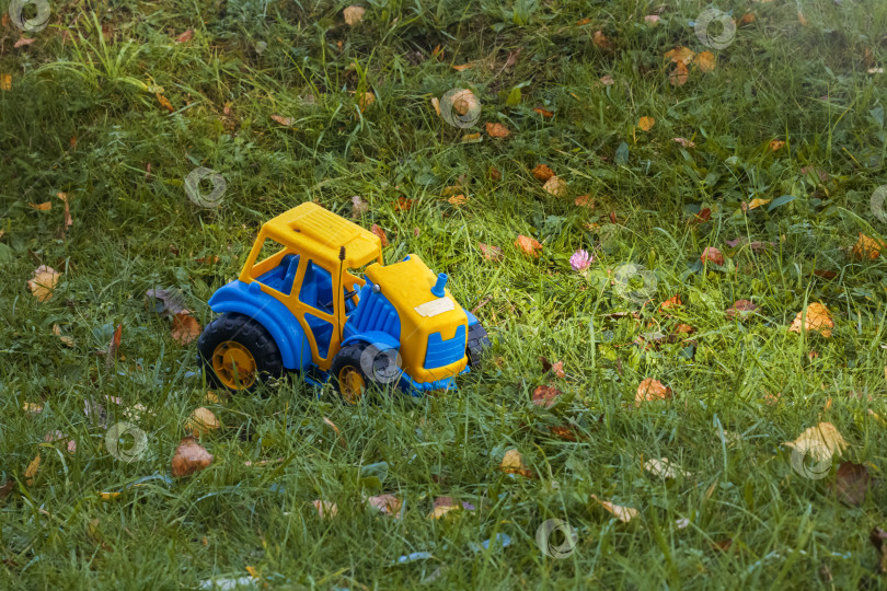 Скачать Детская игрушечная желтая машинка, забытая на зеленой траве фотосток Ozero
