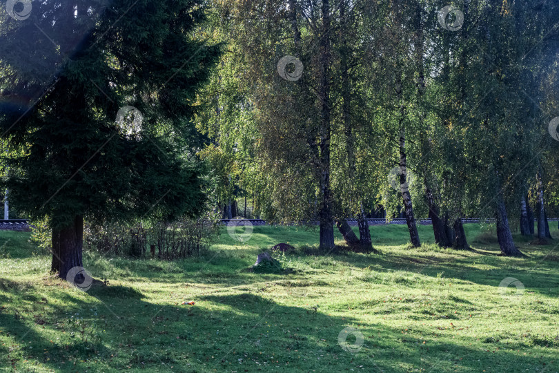 Скачать Зеленый лес и поле у железной дороги фотосток Ozero