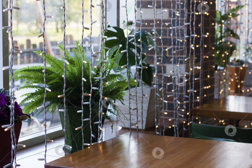 Скачать Деревянный стол у окна и большое растение на подоконнике фотосток Ozero