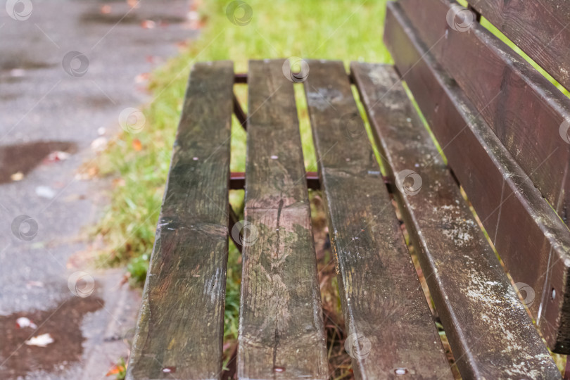 Скачать Деревянная скамейка в парке под дождем фотосток Ozero