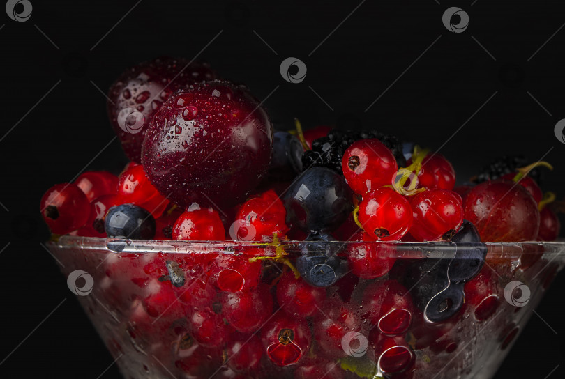 Скачать Красивые красные ягоды, политые водой, на темном фоне крупным планом. фотосток Ozero