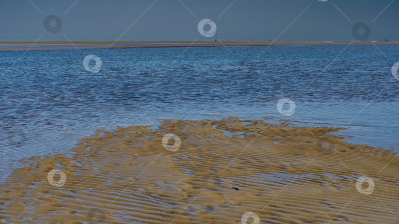 Скачать Отлив. На обнажившемся волнистом морском дне видны лужи воды, фотосток Ozero