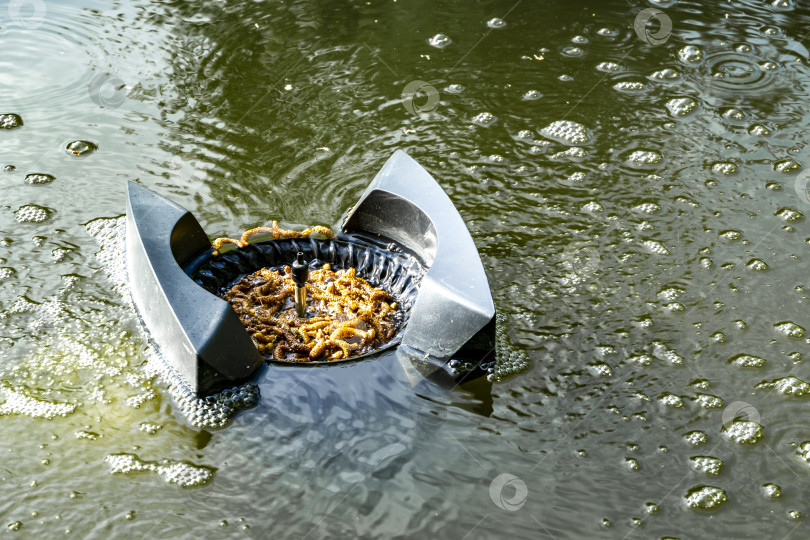 Скачать Скиммер, наполненный растениями, попавшими в воду. фотосток Ozero