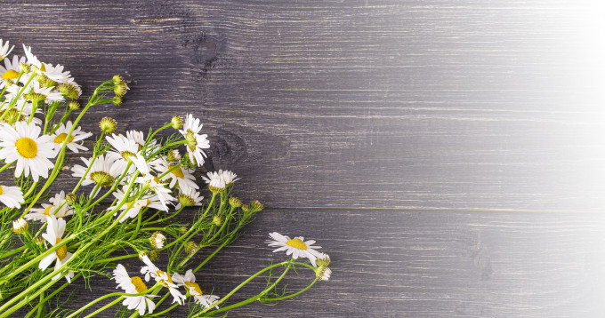 [object Object] undefined