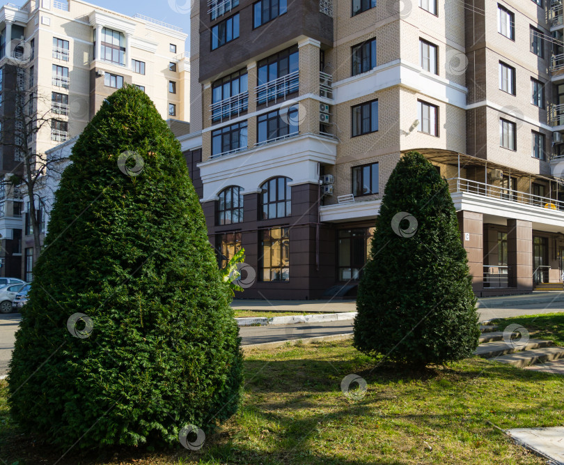 Скачать Топиарное искусство из тиса Taxus baccata на улице осеннего города. Сформированные вечнозеленые растения в курортной зоне Горячий Ключ. Краснодарский край, Россия фотосток Ozero