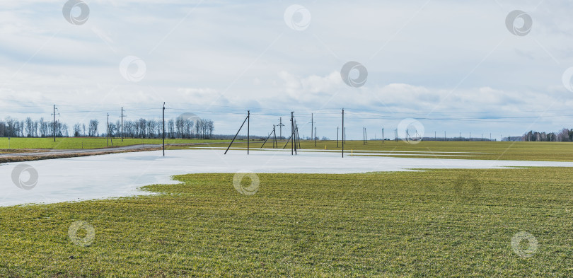 Скачать Замерзшая вода на засеянном поле фотосток Ozero