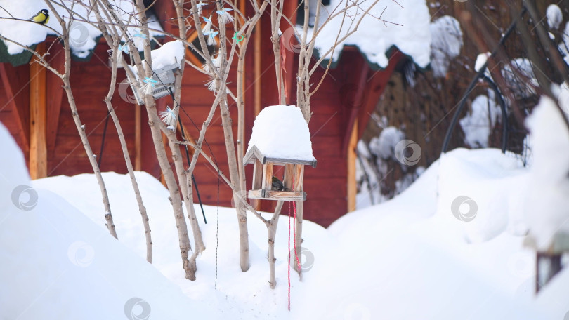 Скачать Большой пятнистый дятел и синица едят из кормушки для птиц в форме деревянного домика с кучей снега на крыше. фотосток Ozero