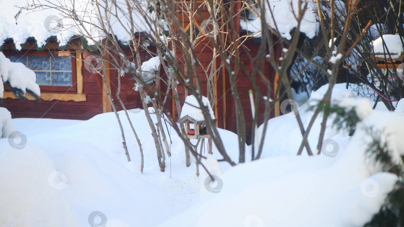 Скачать Снегири и синицы едят семечки из кормушки для птиц в виде домика снежной зимой фотосток Ozero