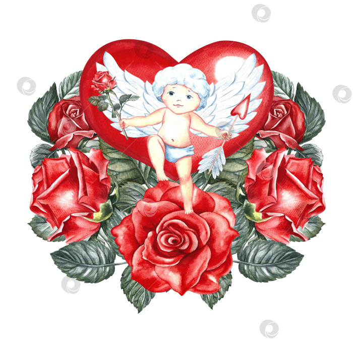 Скачать Милый маленький купидон на фоне красного сердца с розами. Рисованная акварельная иллюстрация. Для влюбленных, дня Святого Валентина и свадеб. Для плакатов, поздравительных открыток. Для печати и наклеек. фотосток Ozero