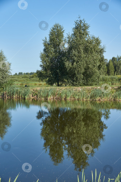 Скачать Рыбалка на озере. Отражение в воде. База отдыха. Август 2021 фотосток Ozero