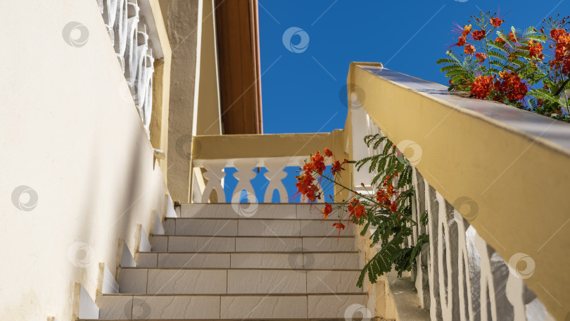 Скачать Ко входу в дом ведет лестница с каменными ступенями. фотосток Ozero