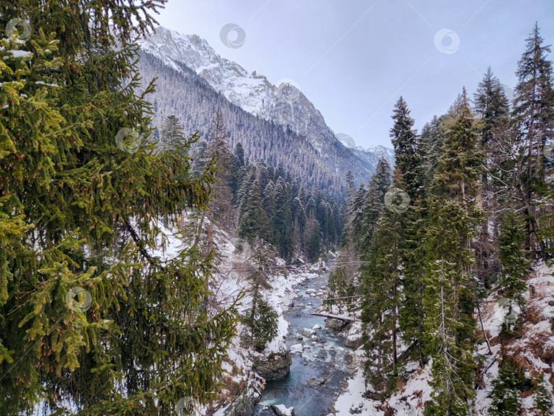 Скачать Ущелье Аманауз зимой, Домбай, Карачаево-Черкесия, Россия фотосток Ozero