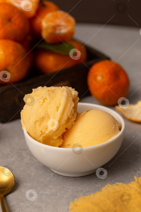 Скачать Шарики из натурального мандаринового мороженого фотосток Ozero