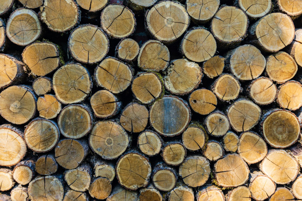 [object Object] undefined