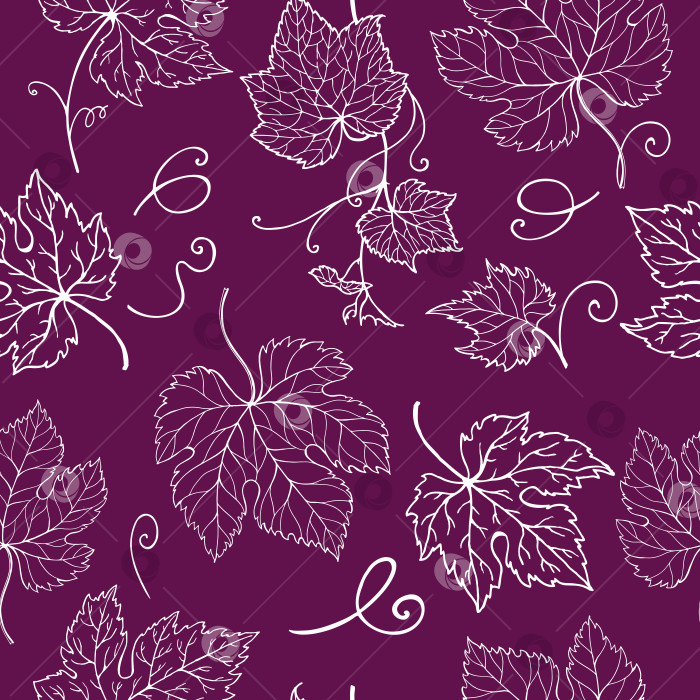 Скачать Лист виноградной лозы. Виноградные листья. Рисованная иллюстрация. Векторный бесшовный узор. фотосток Ozero