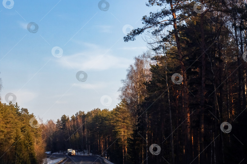 Скачать Дорога и зимний лес с желтыми деревьями фотосток Ozero