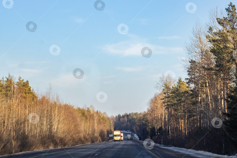 Скачать Дорога и зимний лес с желтыми деревьями и машинами фотосток Ozero