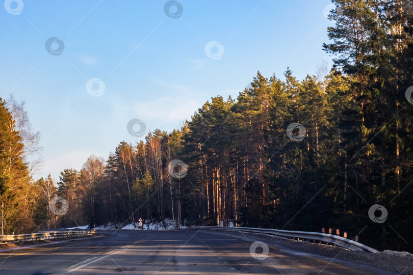 Скачать Дорога и зимний лес с желтыми деревьями фотосток Ozero