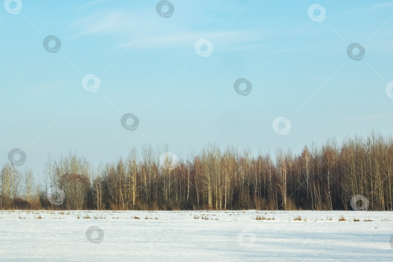 Скачать Зимний солнечный пейзаж, поле, лес и дома фотосток Ozero