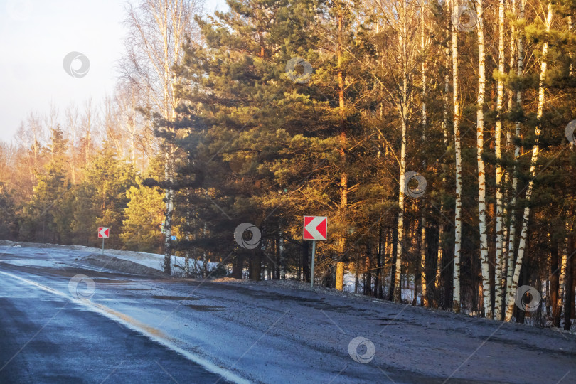 Скачать Дорога и зимний лес с желтыми деревьями фотосток Ozero