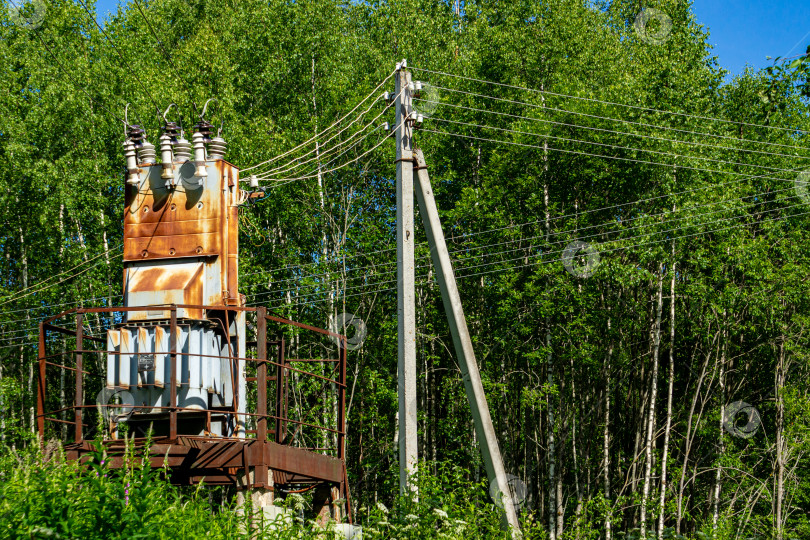 Скачать Трансформаторная подстанция установлена на бетонных опорах на лесной поляне. Крупный план. фотосток Ozero