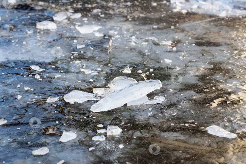 Скачать Осколки льда на замерзшей земле фотосток Ozero
