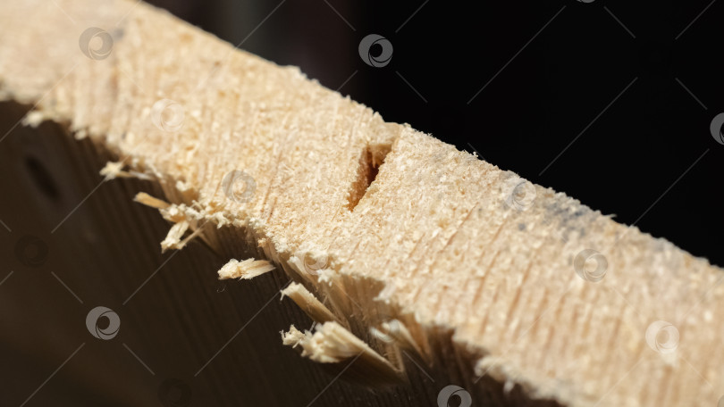 Скачать Распиливание деревянной доски пилой фотосток Ozero