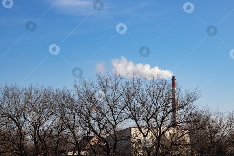 Скачать Промышленный дымоход с дымом и верхушками деревьев на фоне голубого неба фотосток Ozero
