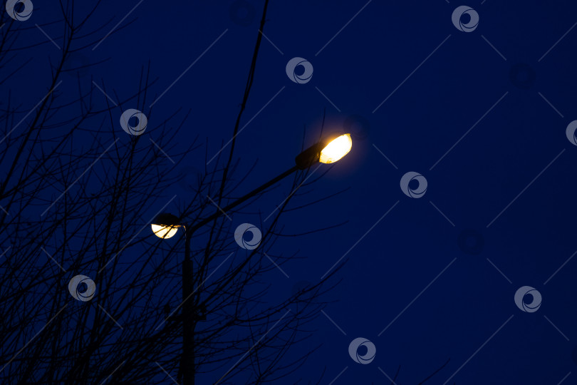 Скачать Два фонаря уличного фонаря на фоне голубого ночного неба фотосток Ozero