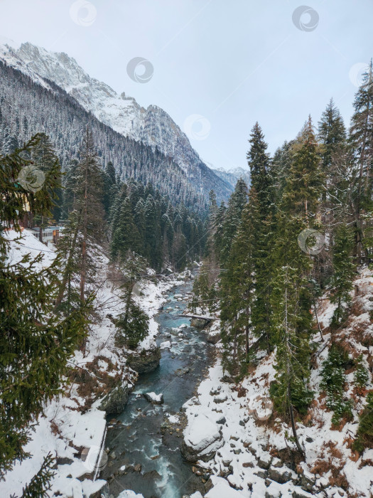 Скачать Горная река Аманауз зимой, Домбай, КЧР, Россия фотосток Ozero