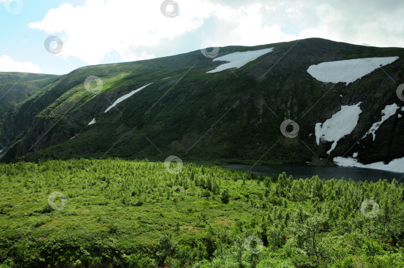 Скачать Большая поляна с кустарниками на берегу красивого озера в горной котловине с остатками снега на склонах под пасмурным летним небом. фотосток Ozero