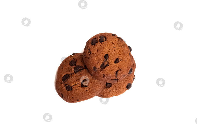 Скачать Три бисквитных печенья с шоколадом, выделенные на белом фоне фотосток Ozero